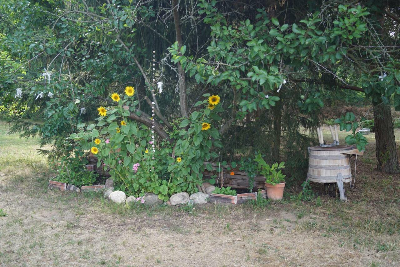 Ferienwohnung Rehagen Sued Am Mellensee Bagian luar foto