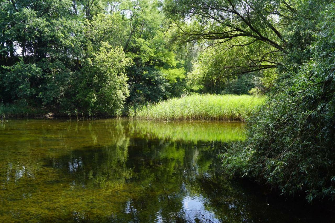 Ferienwohnung Rehagen Sued Am Mellensee Bagian luar foto